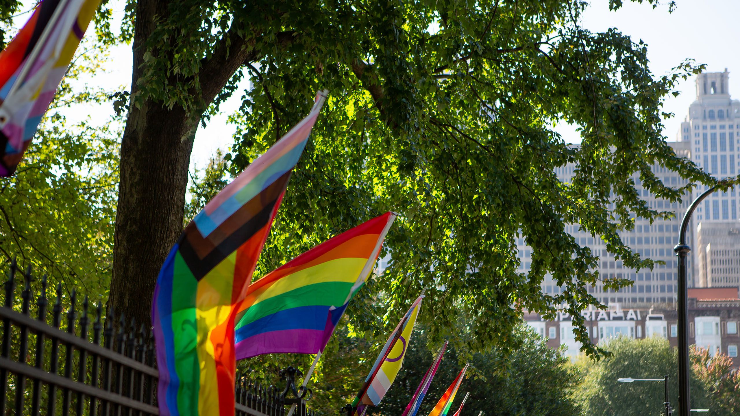 a row of pride flags on a fence